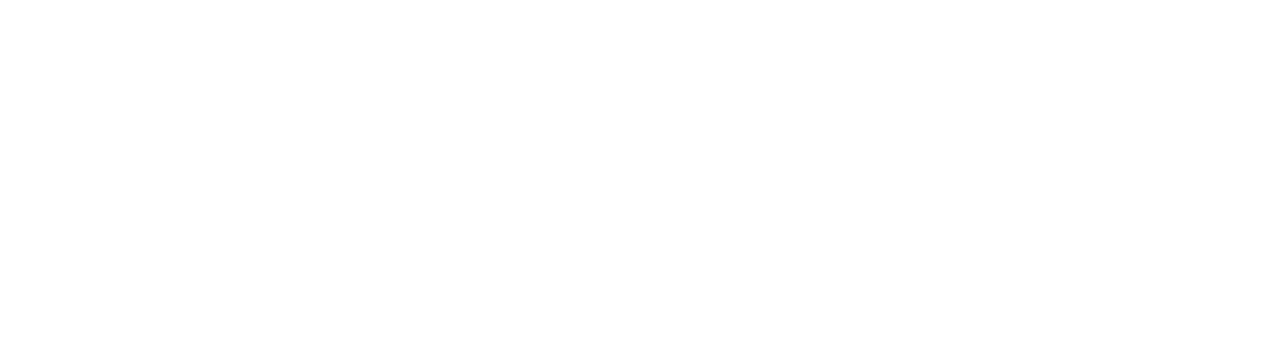 sns-logo1.png